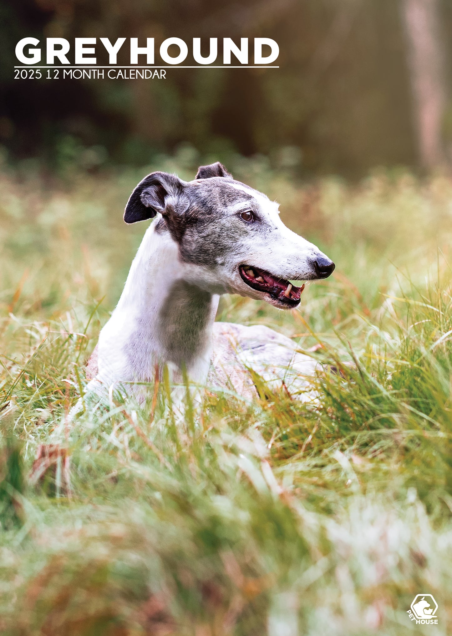 Greyhound Calendar 2025 CalendarsRus