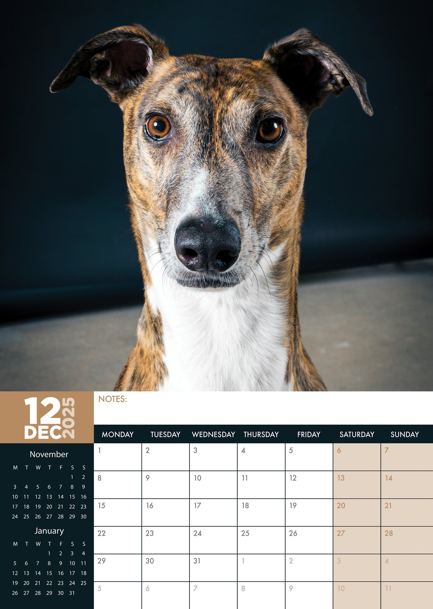 Greyhound Calendar 2025