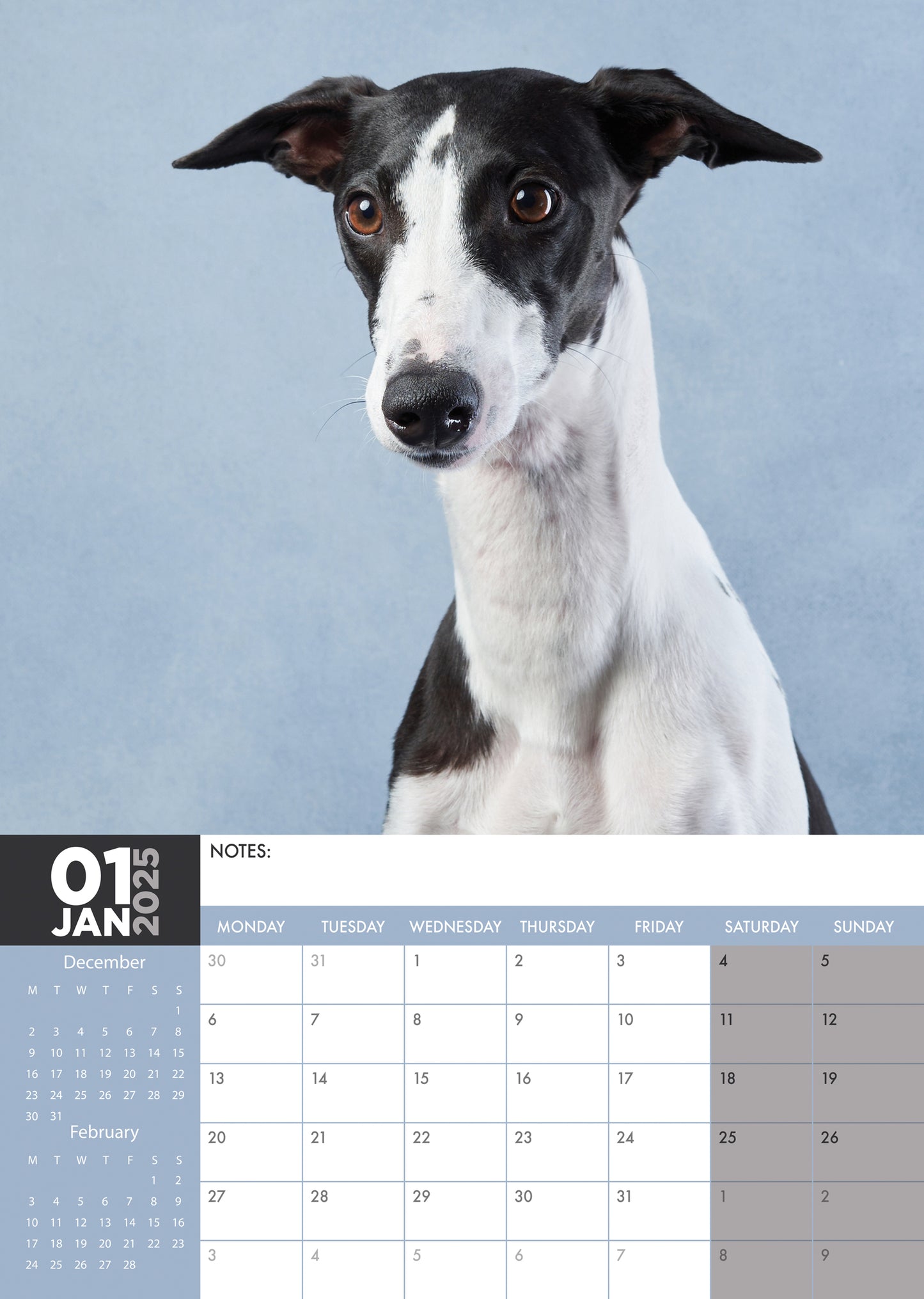 Greyhound Calendar 2025