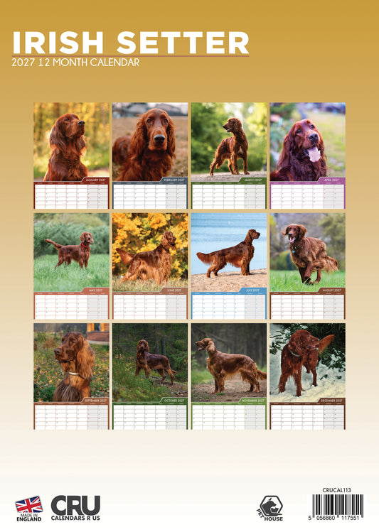 Irish Setter - A3 Calendar 2027