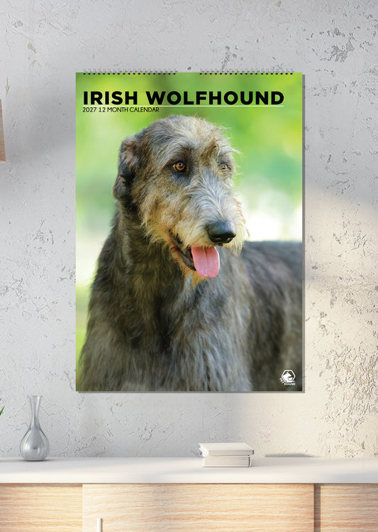 Irish Wolfhound - A3 Calendar 2027