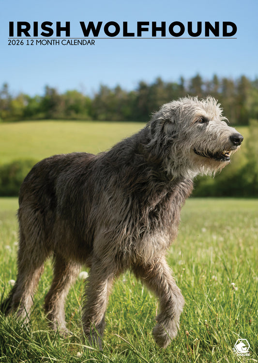 Irish Wolfhound - A3 Calendar 2026