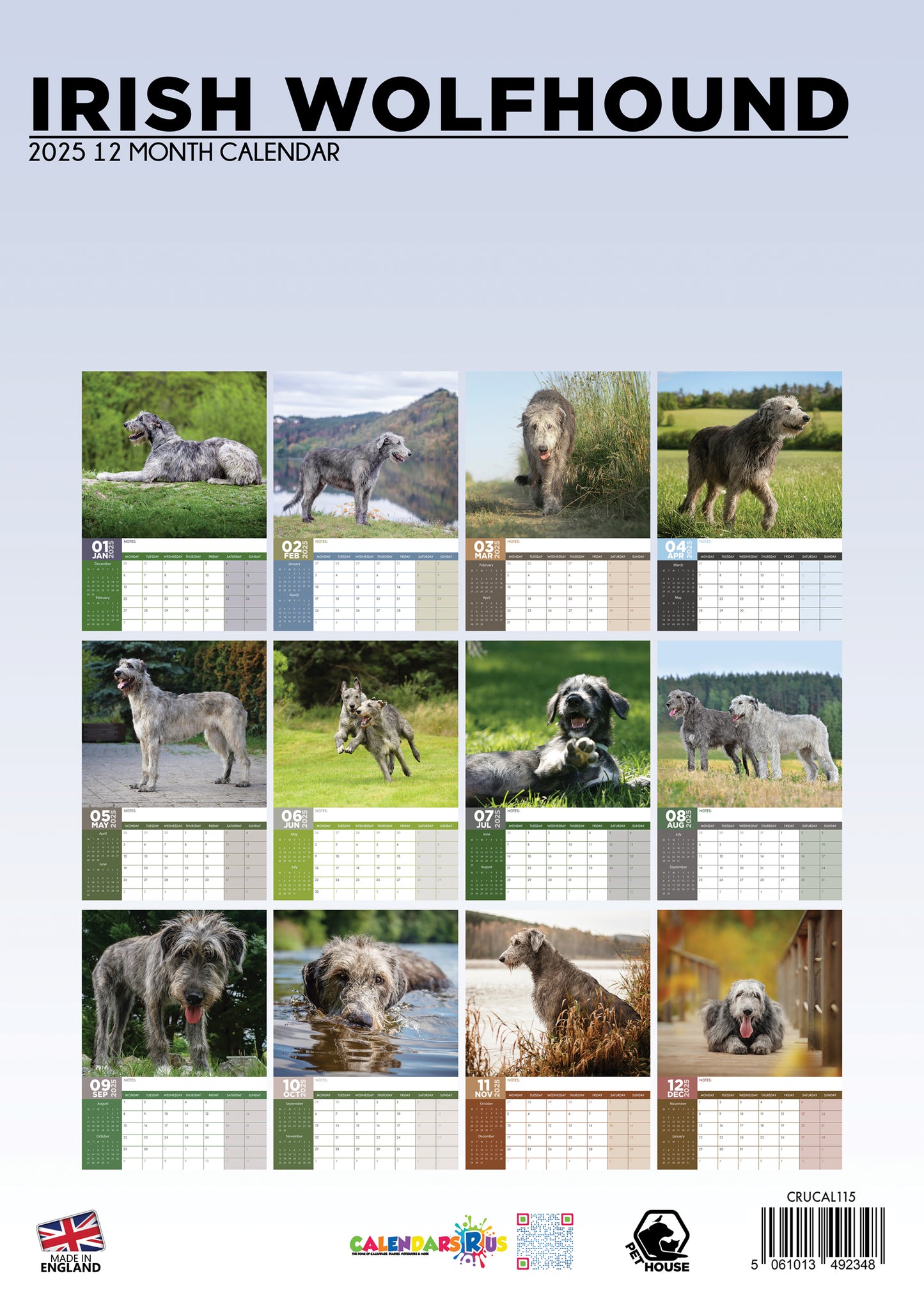 Irish Wolfhound Calendar 2025