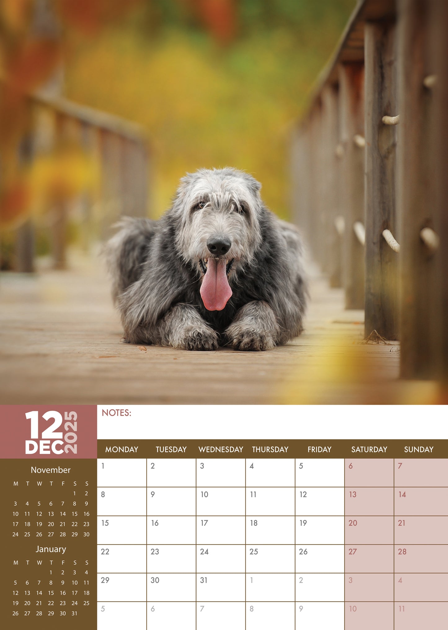 Irish Wolfhound Calendar 2025