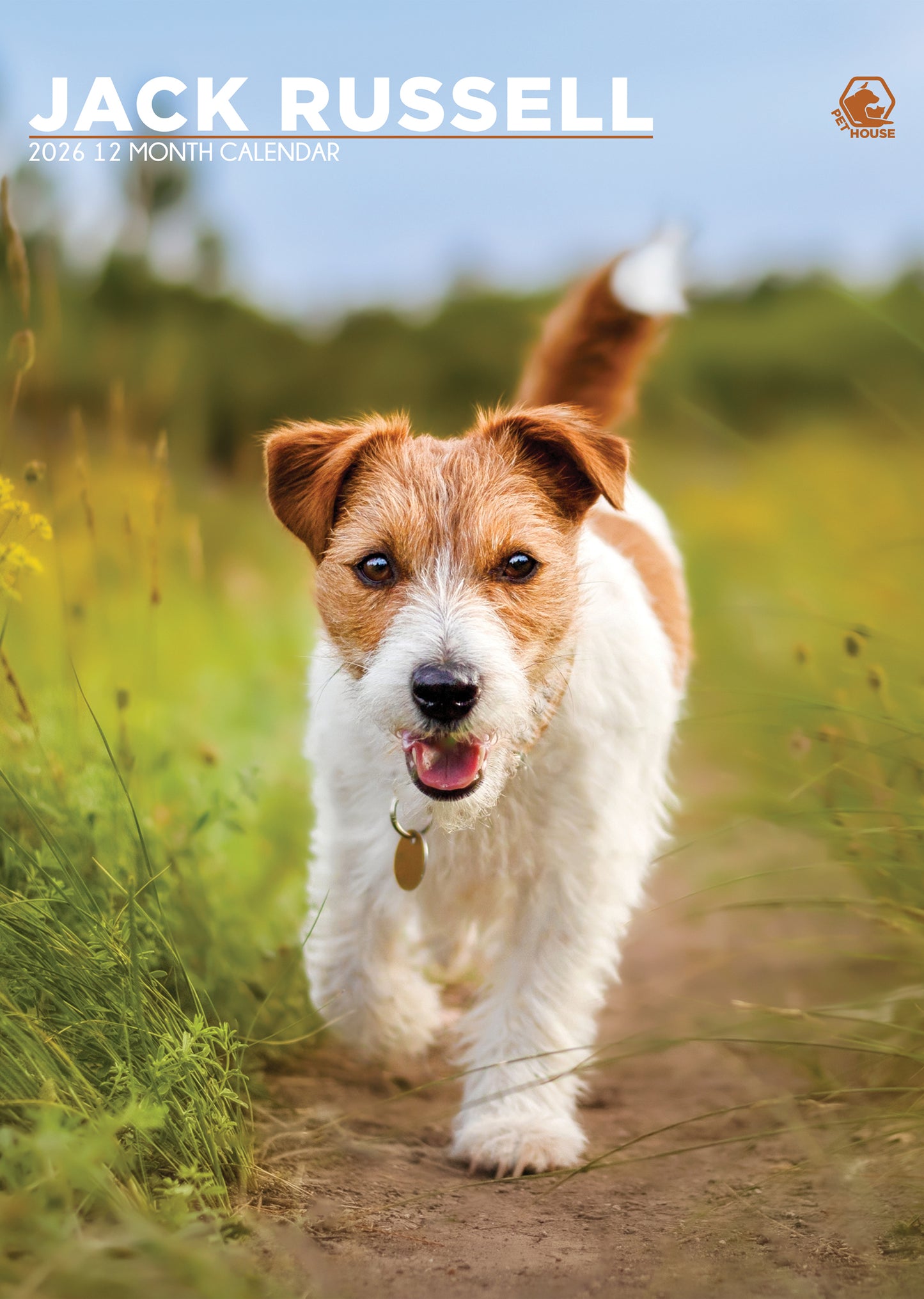 Jack Russell - Calendar 2026