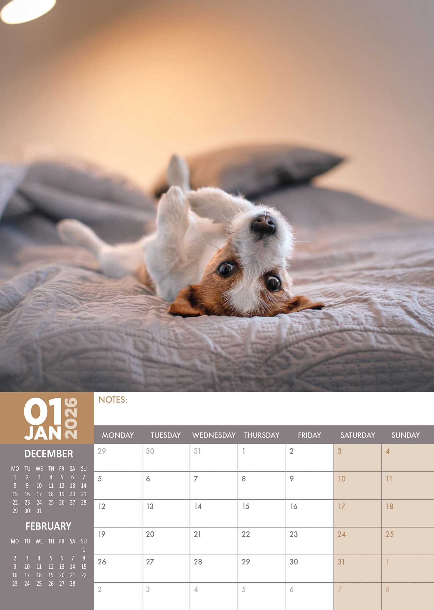 Jack Russell - Calendar 2026