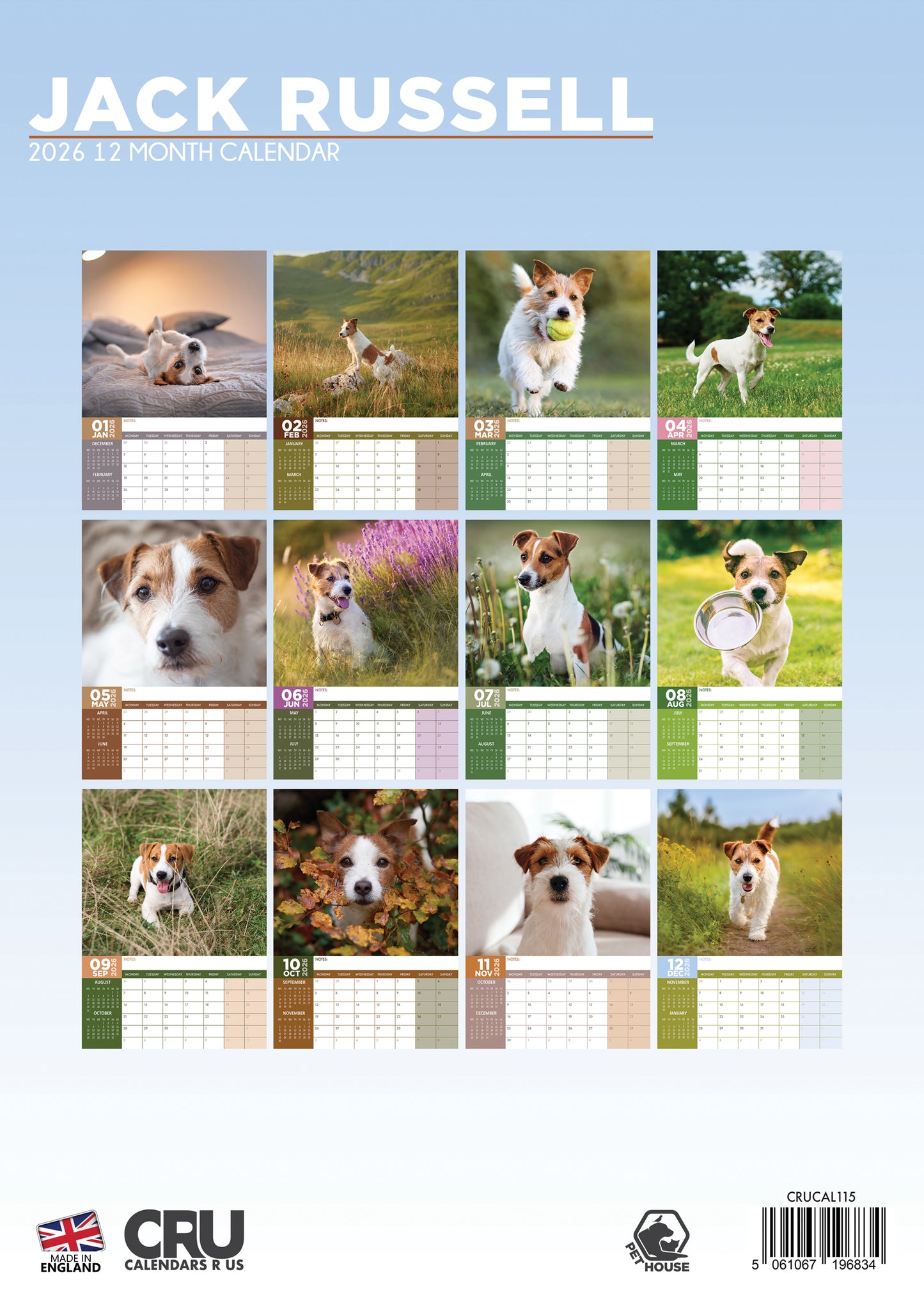 Jack Russell - Calendar 2026
