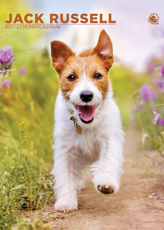 Jack Russell - Calendar 2027