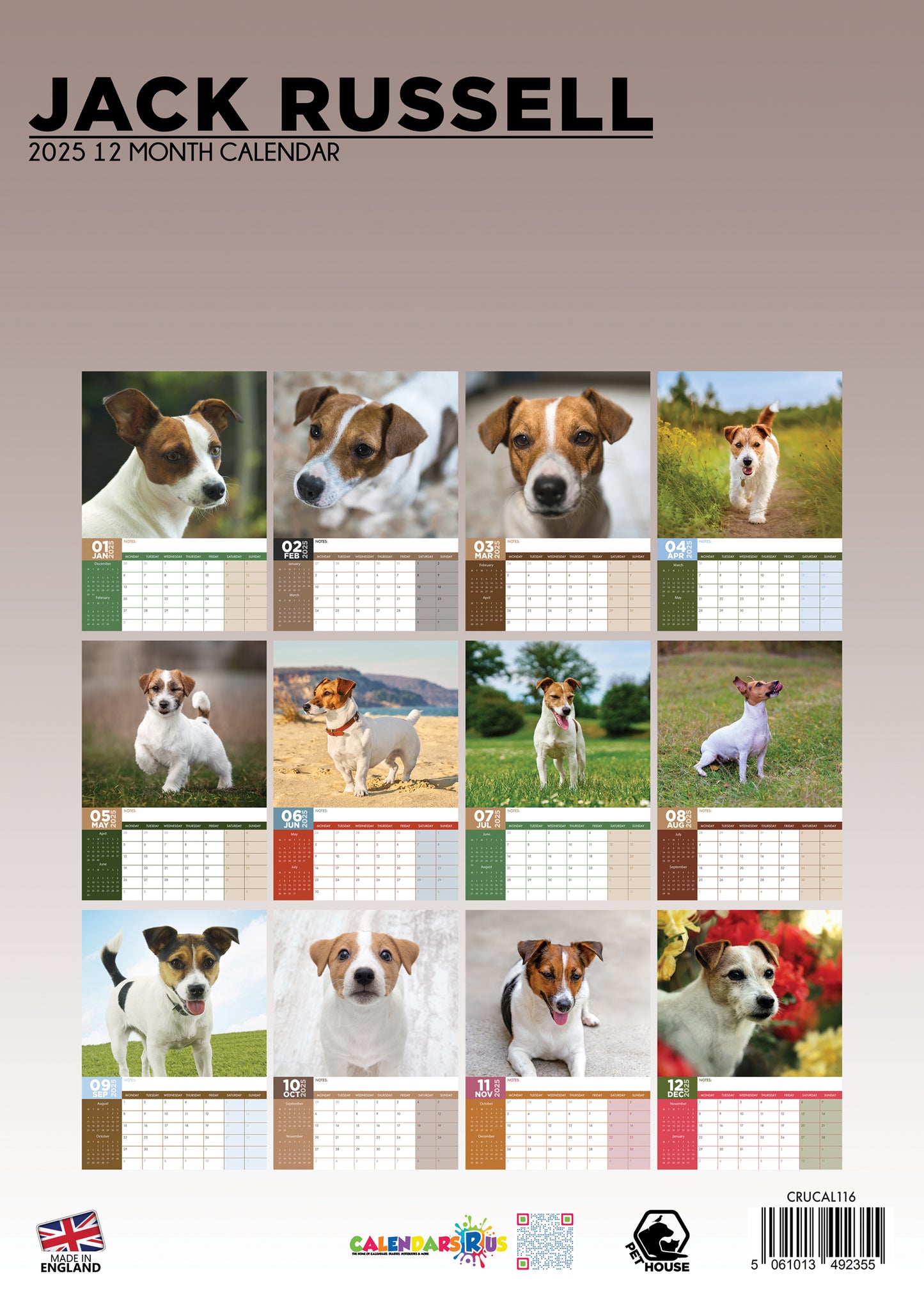 Jack Russell Calendar 2025