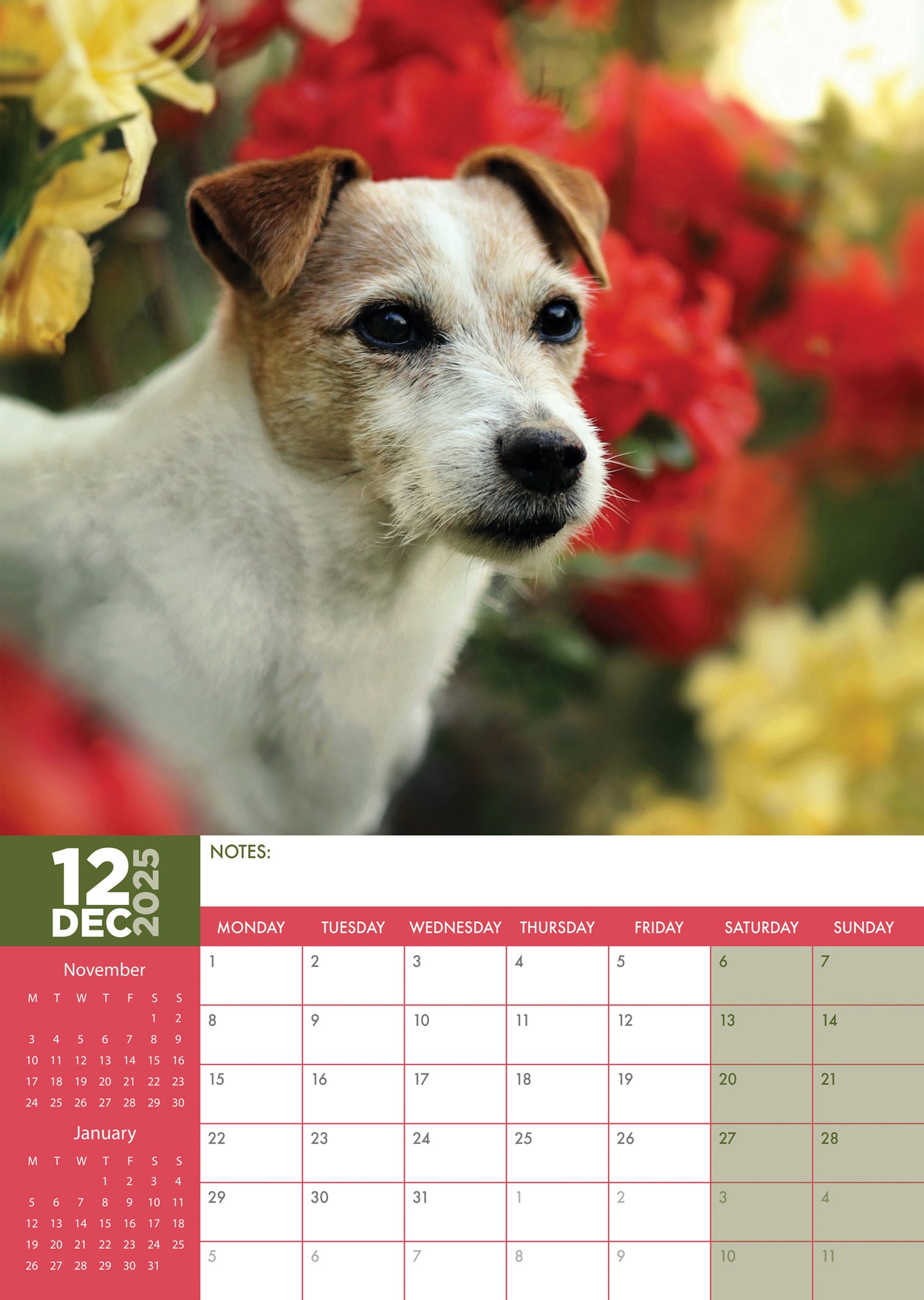 Jack Russell Calendar 2025