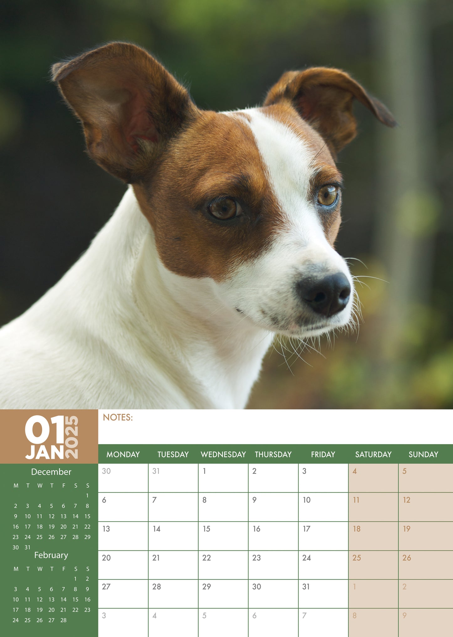 Jack Russell Calendar 2025