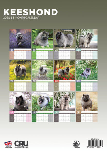 Keeshond - A3 Calendar 2026