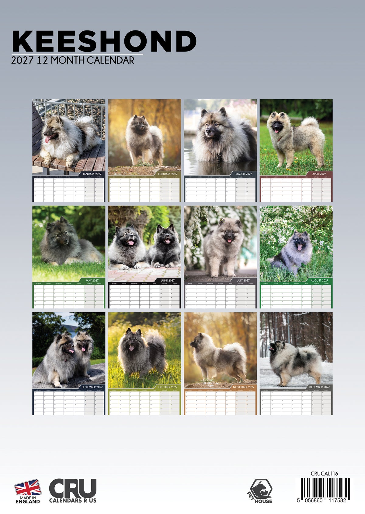 Keeshond - A3 Calendar 2027