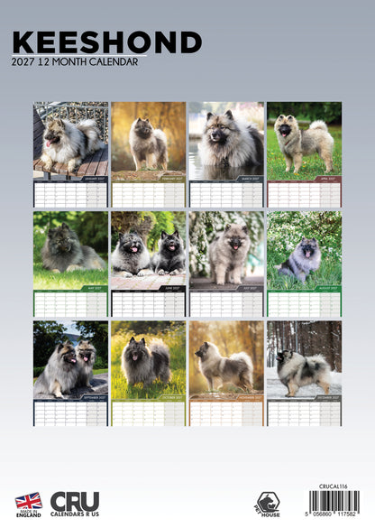Keeshond - A3 Calendar 2027