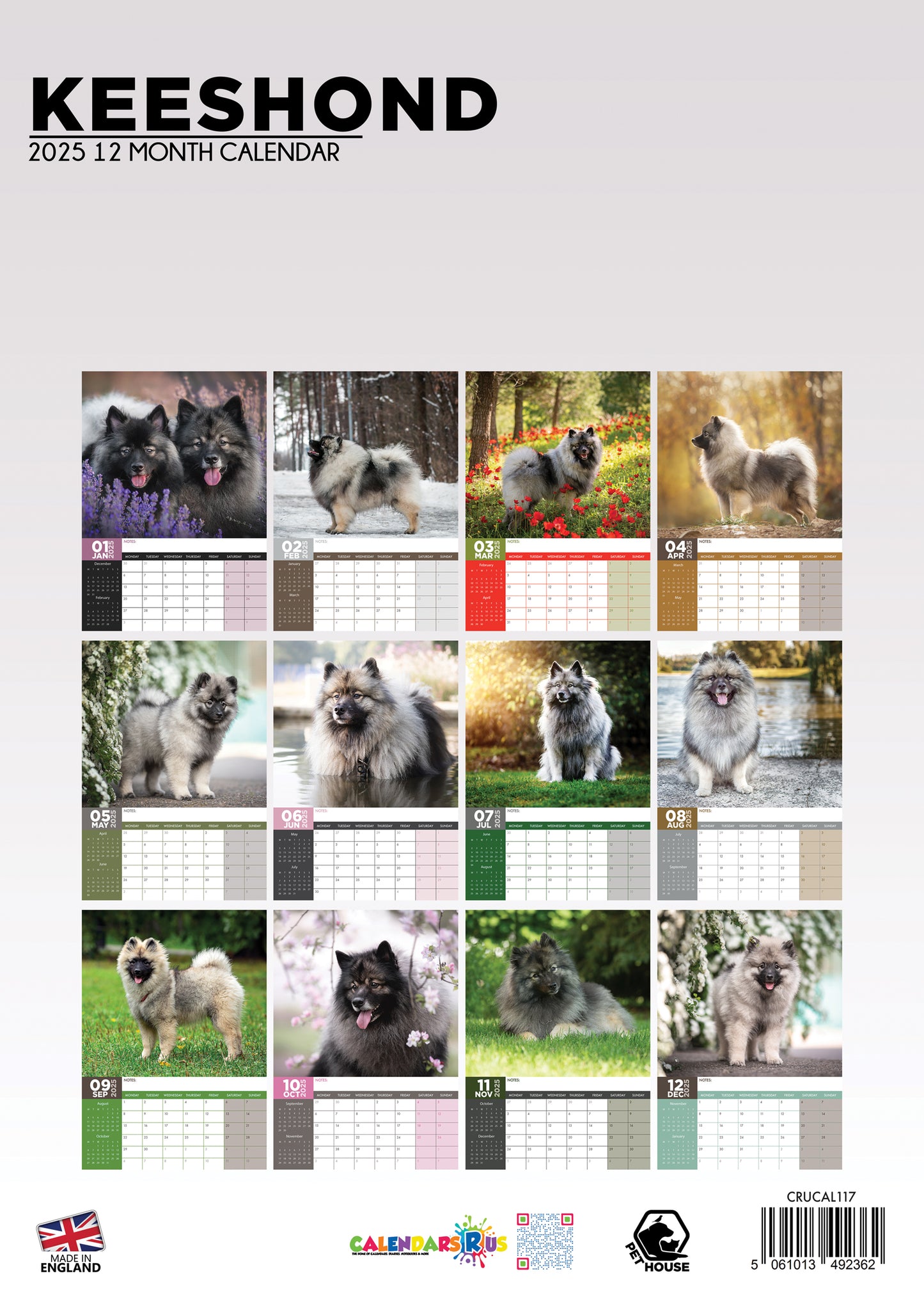 Keeshond Calendar 2025