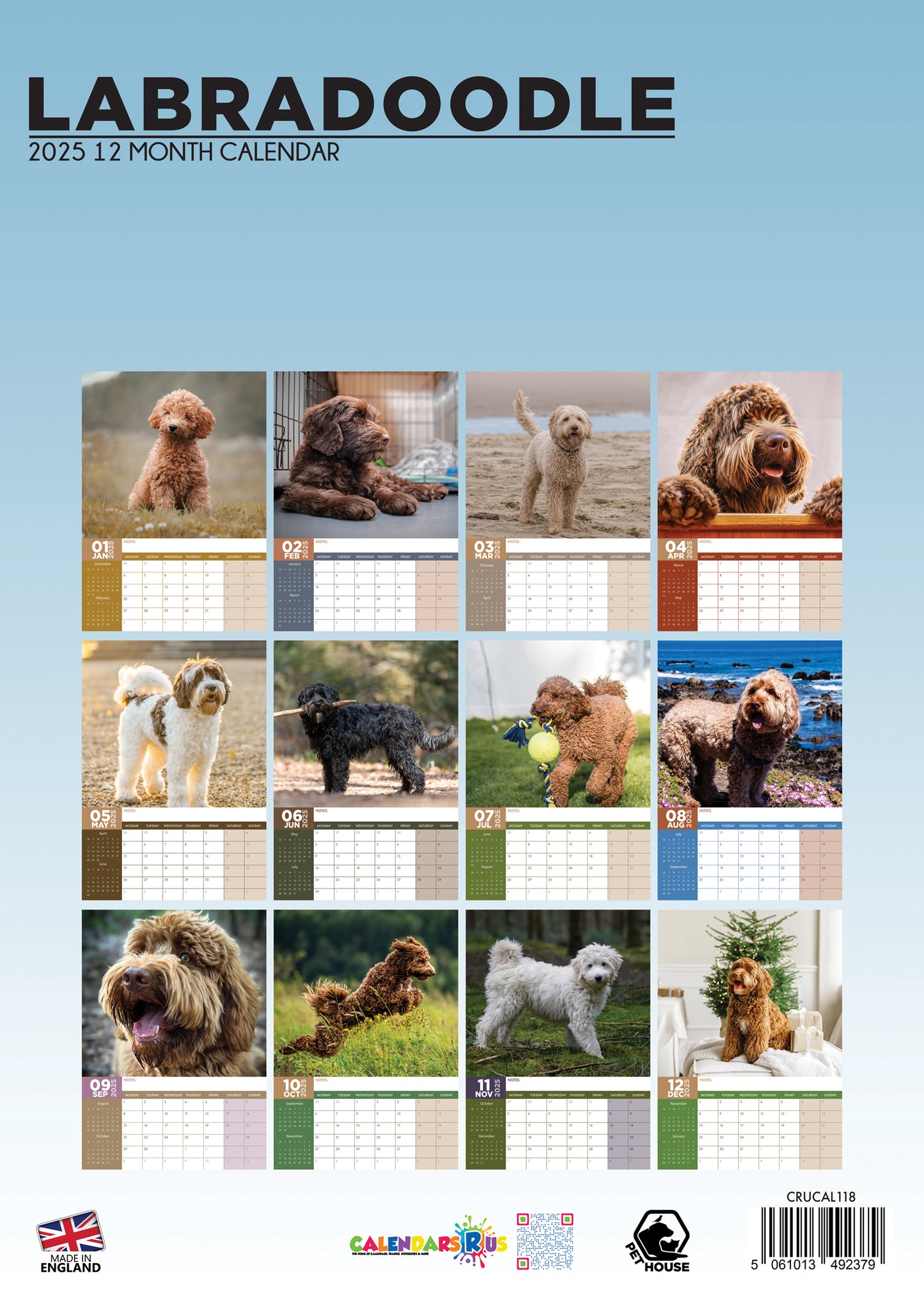 Labradoodle Calendar 2025