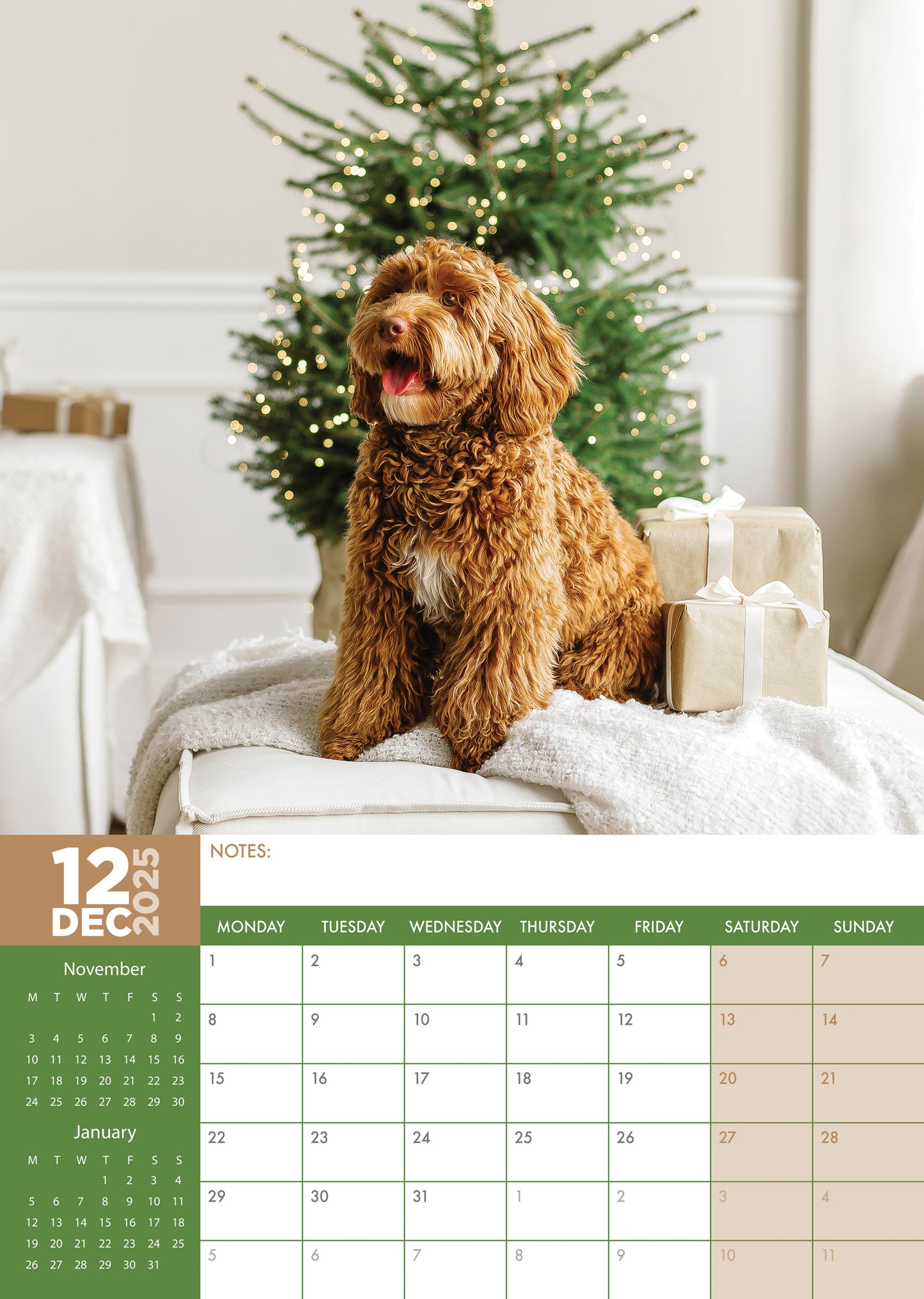 Labradoodle Calendar 2025