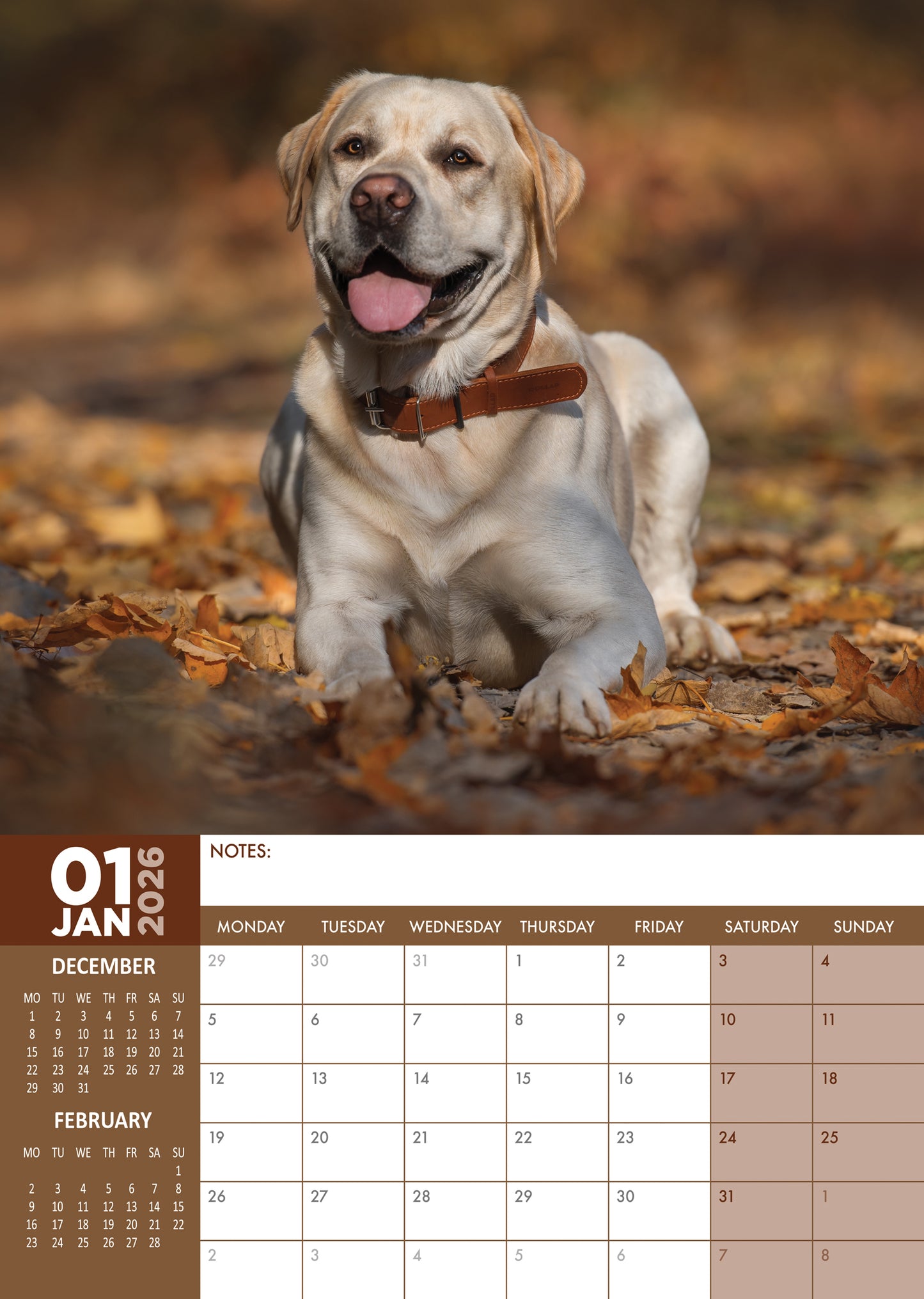 Labrador Retriever - A3 Calendar 2026