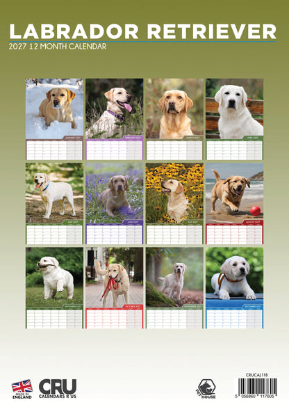Labrador Retriever - A3 Calendar 2027