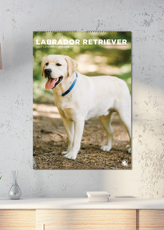 Labrador Retriever - A3 Calendar 2027