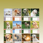 Labrador Retriever Calendar 2024