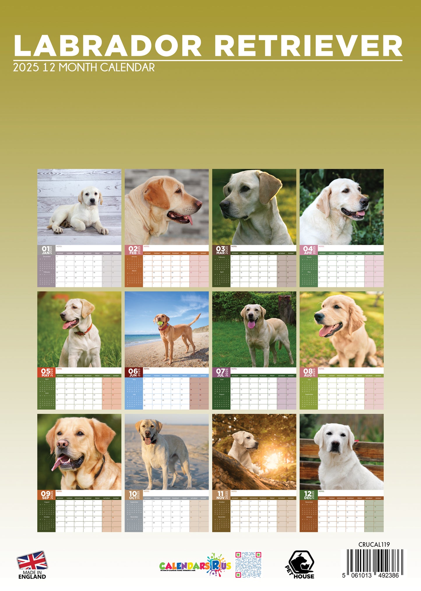 Labrador Retriever Calendar 2024