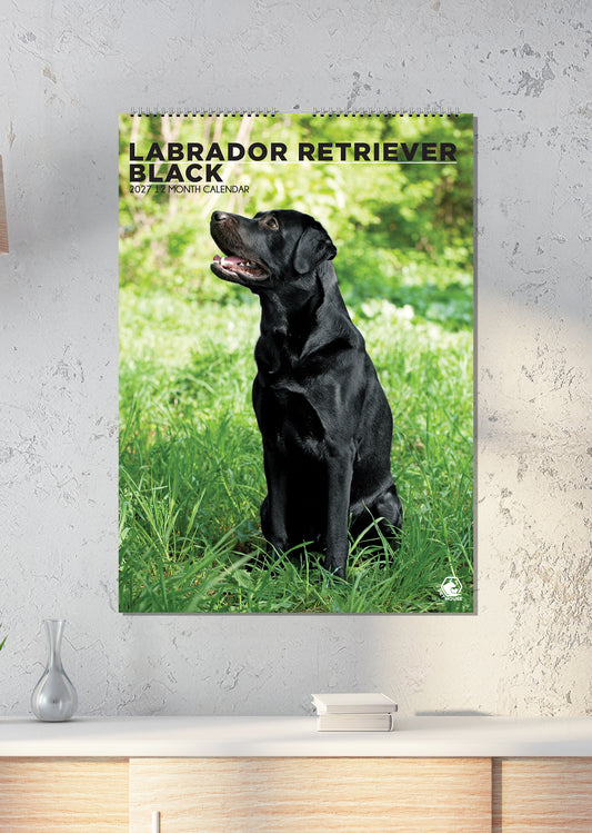 Labrador Retriever Black - A3 Calendar 2027