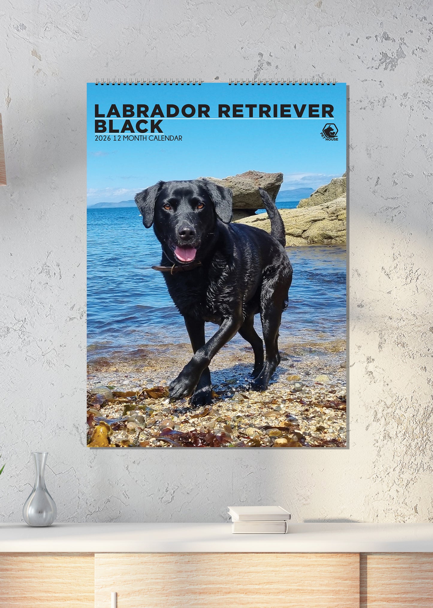 Labrador Retriever Black - A3 Calendar 2026