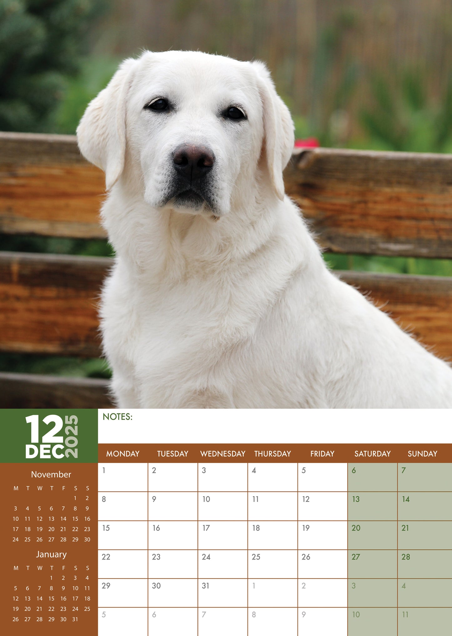 Labrador Retriever Calendar 2024