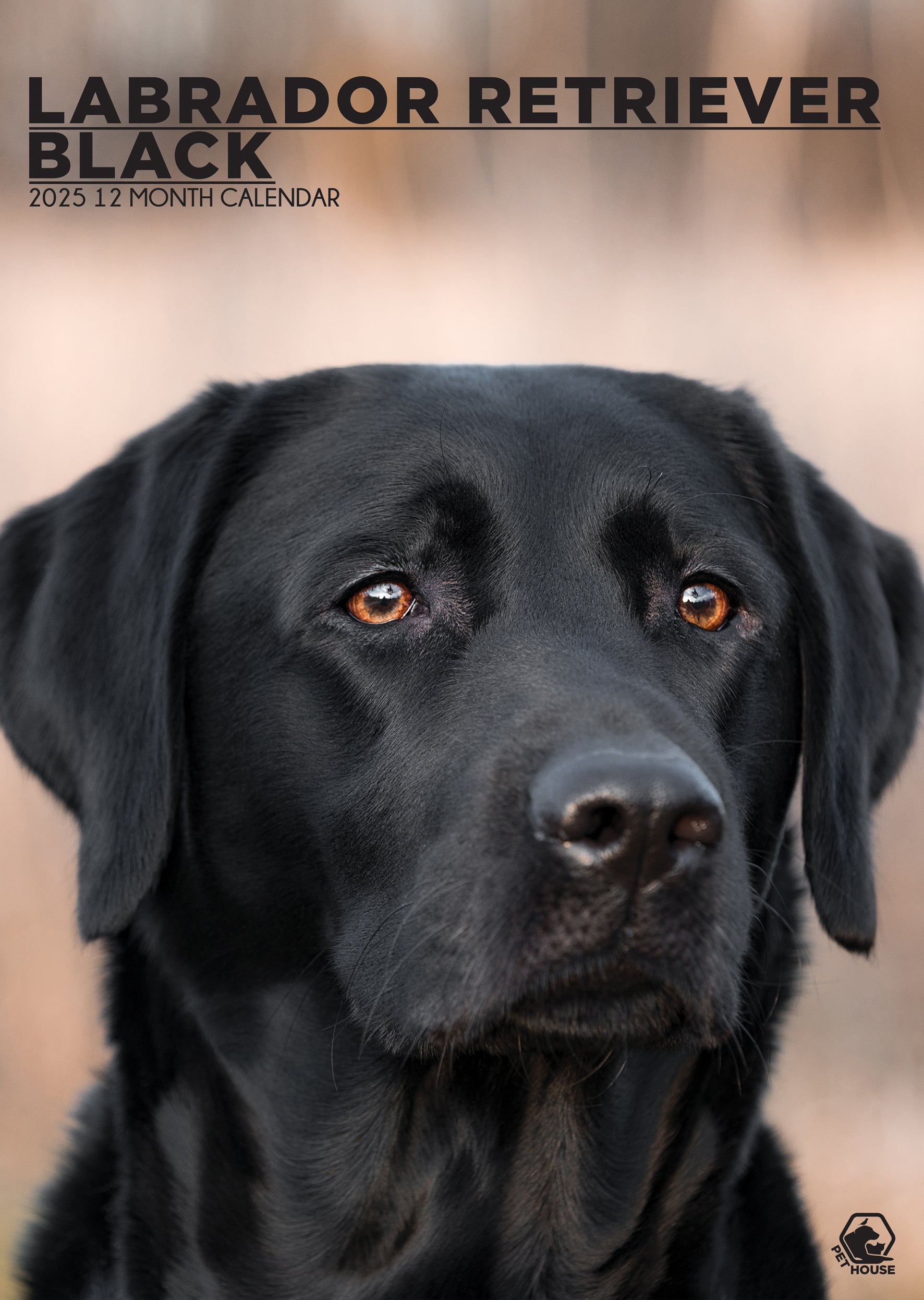 Labrador Retriever Black Calendar 2024 CalendarsRus   CRUCAL120LabradorRetrieverBlack 