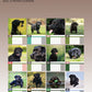 Labrador Retriever Black Calendar 2025