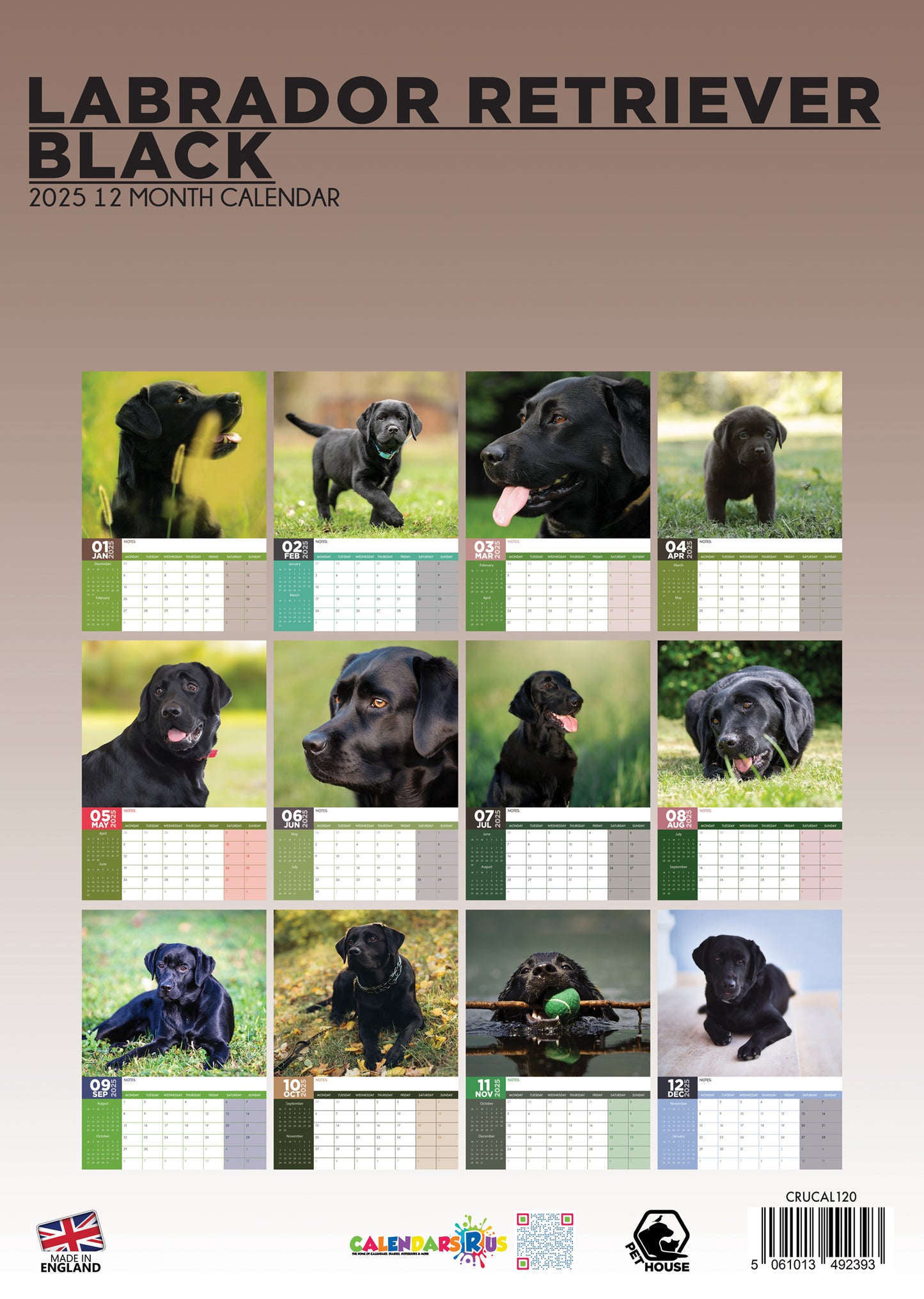 Labrador Retriever Black Calendar 2025