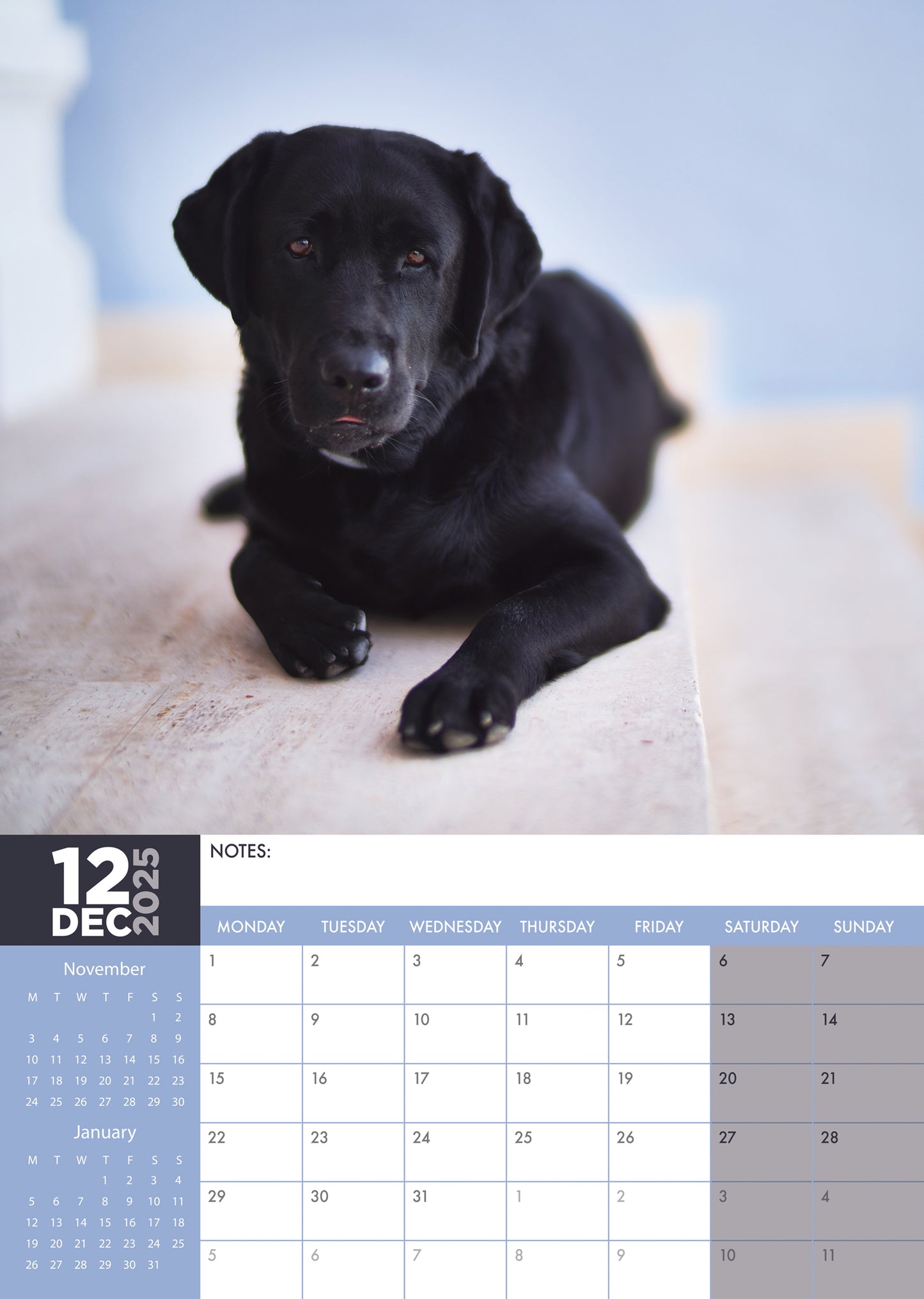 Labrador Retriever Black Calendar 2025