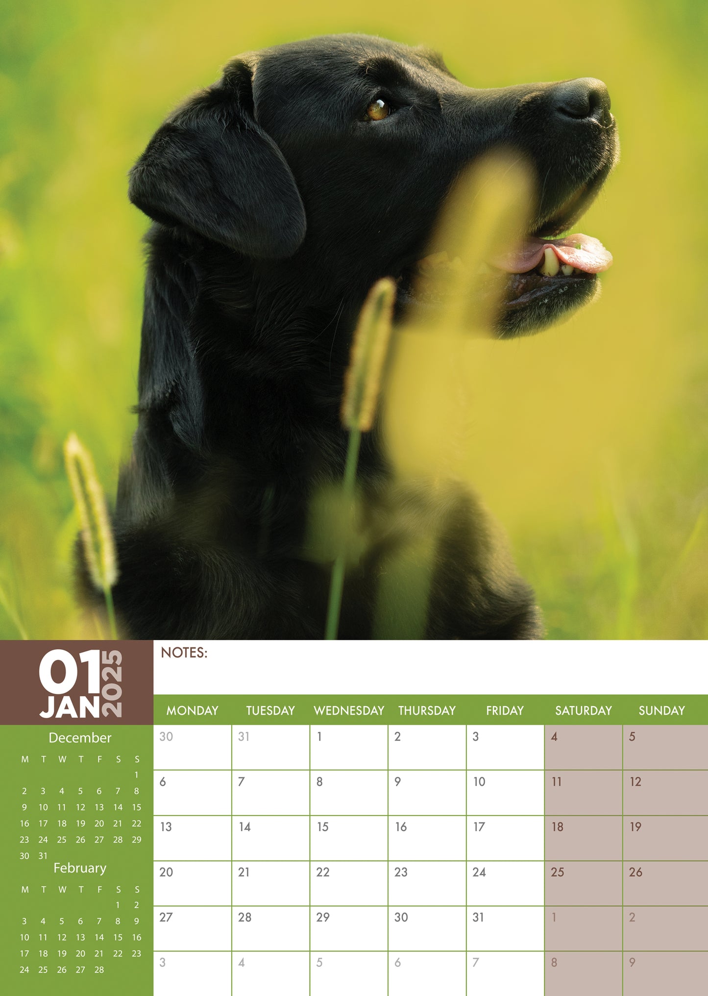 Labrador Retriever Black Calendar 2025