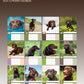 Labrador Retriever Chocolate Calendar 2025