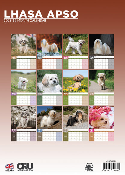 Lhasa Apso - A3 Calendar 2026