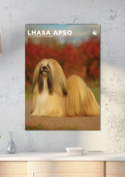 Lhasa Apso - A3 Calendar 2027