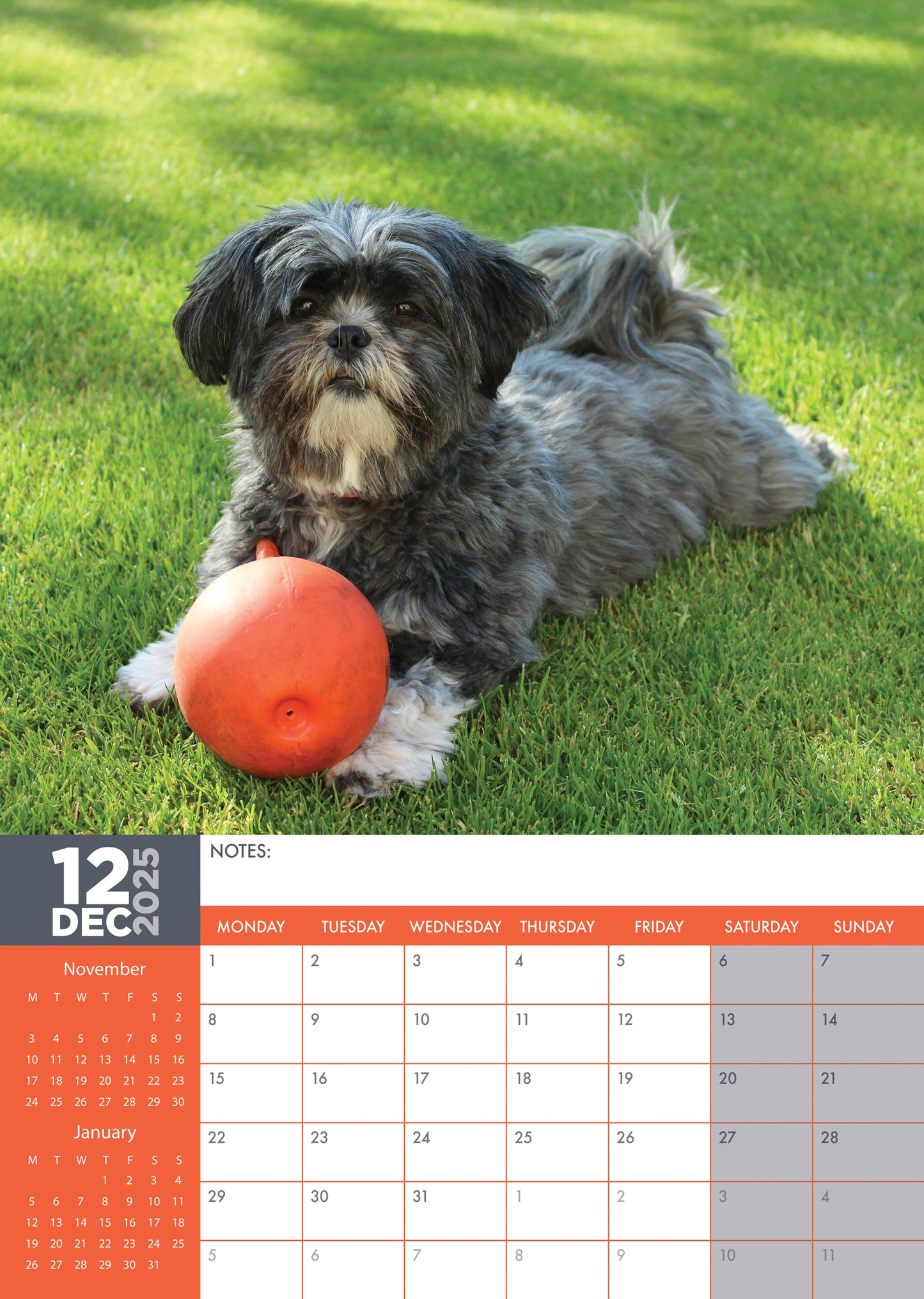 Lhasa Apso Calendar 2025