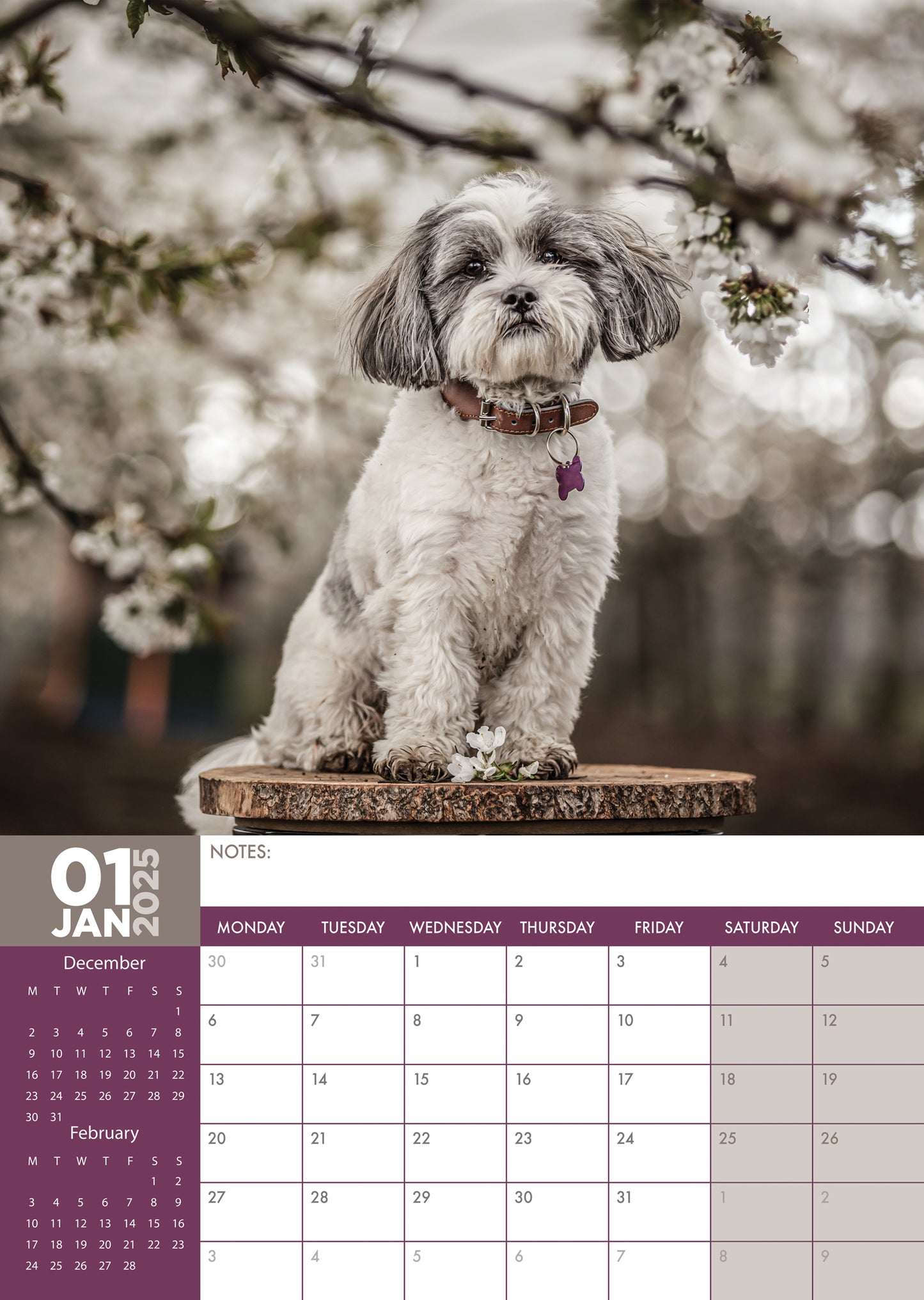 Lhasa Apso Calendar 2025