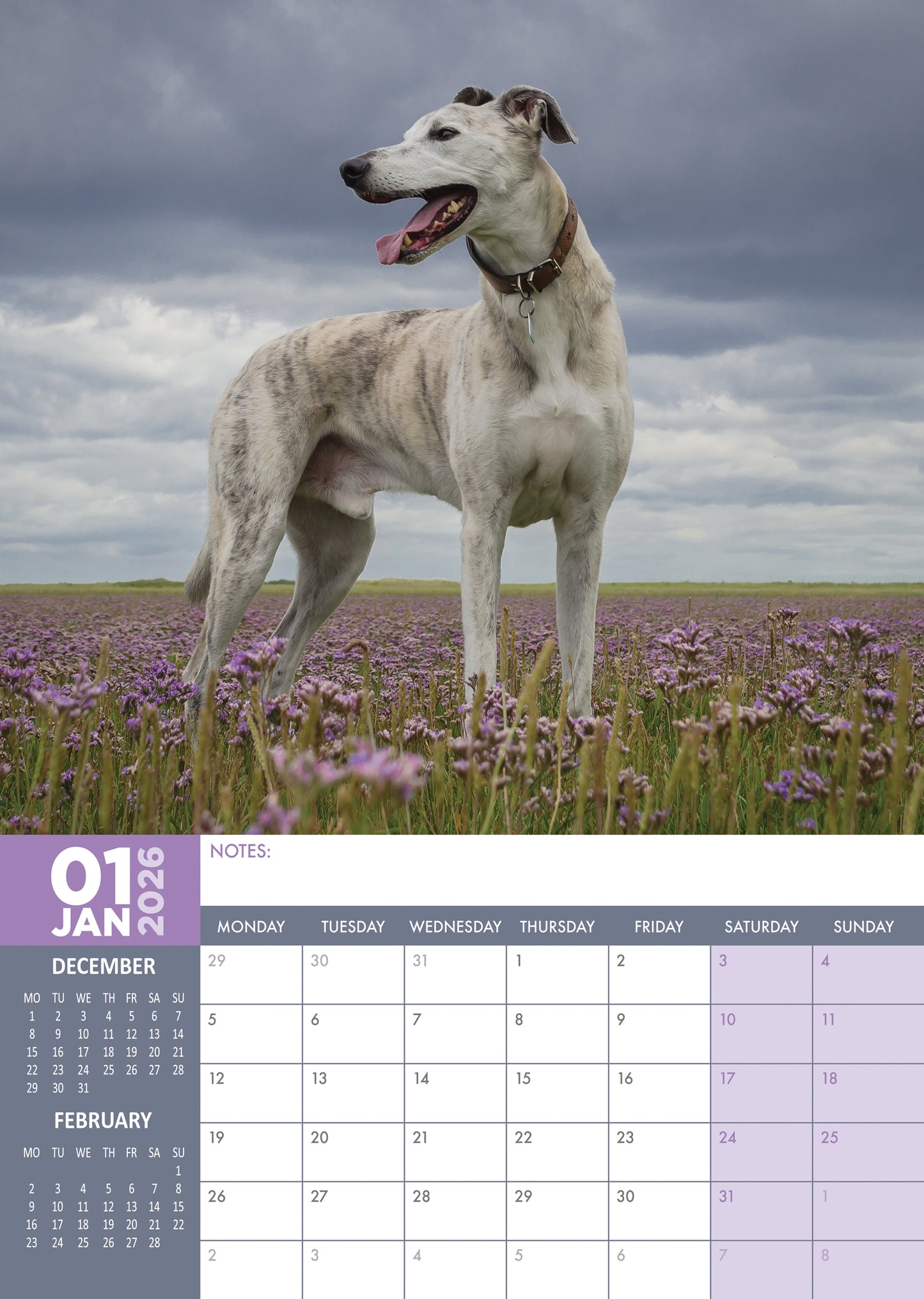 Lurcher - A3 Calendar 2026