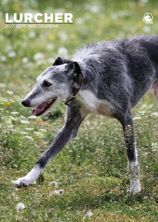 Lurcher - A3 Calendar 2027