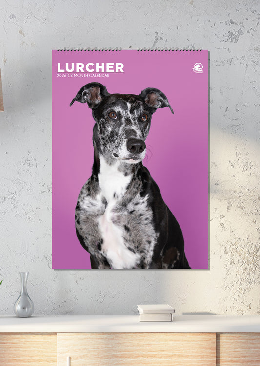 Lurcher - A3 Calendar 2026