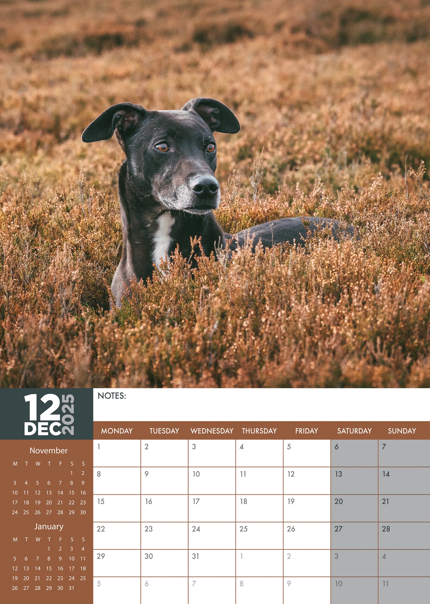 Lurcher Calendar 2025