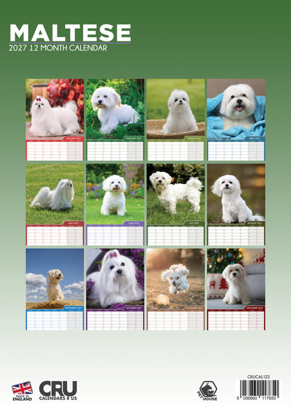 Maltese - A3 Calendar 2027