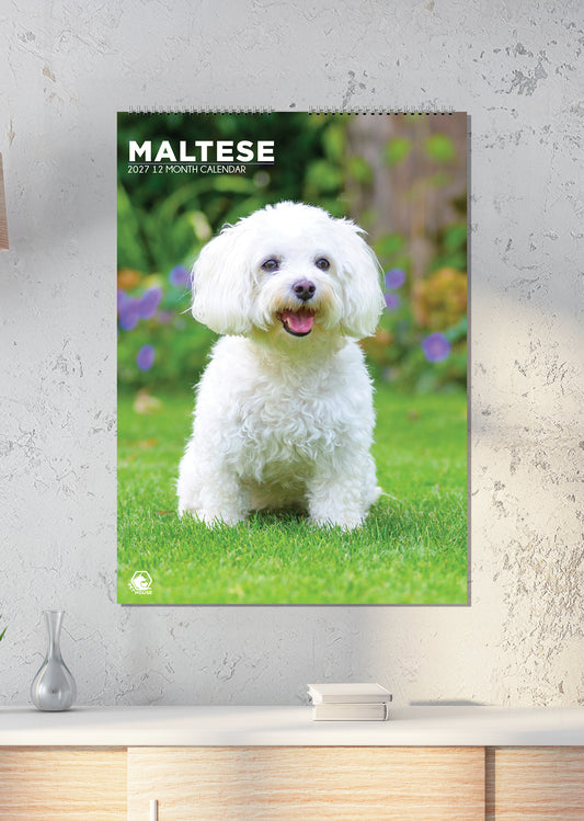 Maltese - A3 Calendar 2027