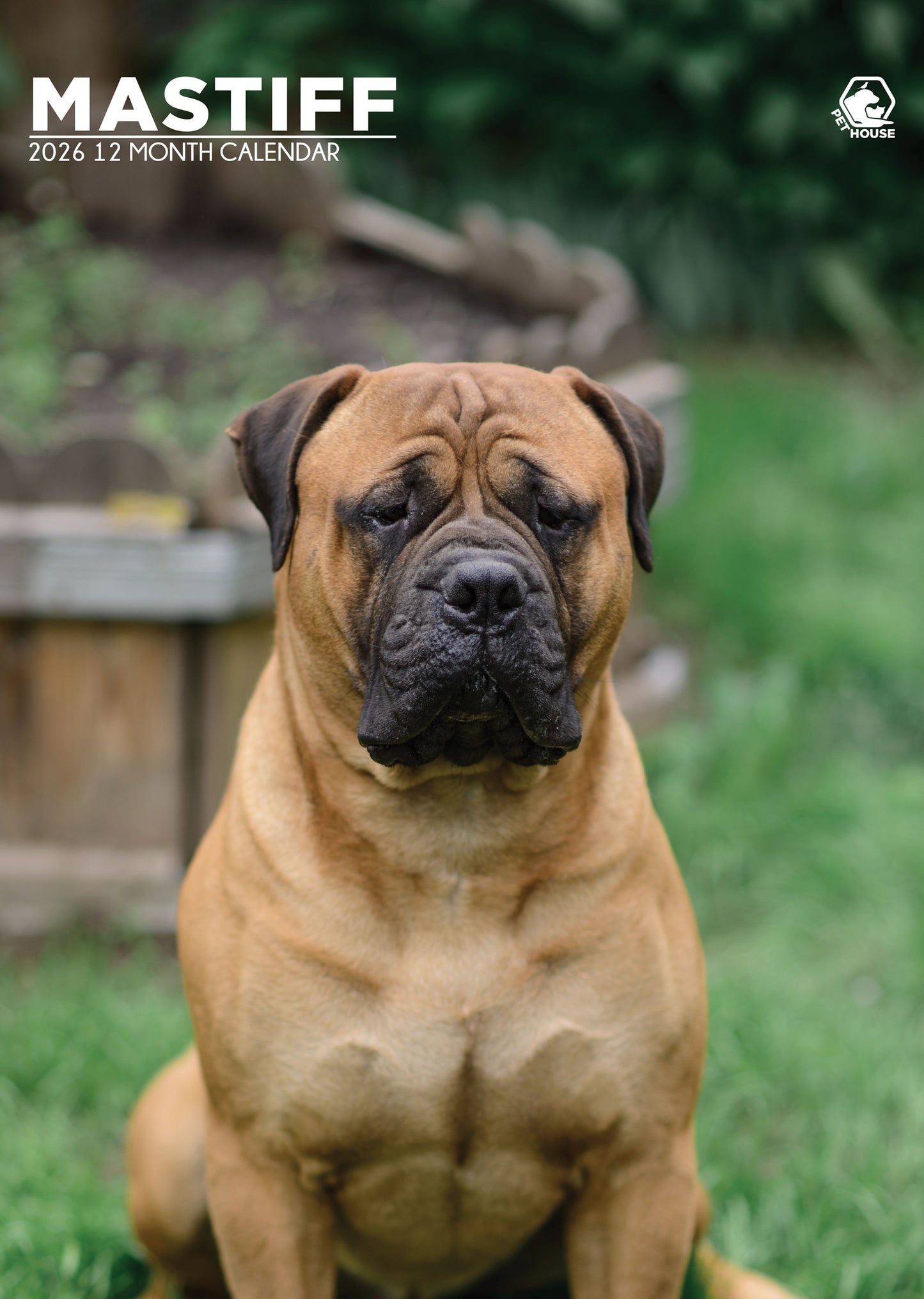 Mastiff - A3 Calendar 2026