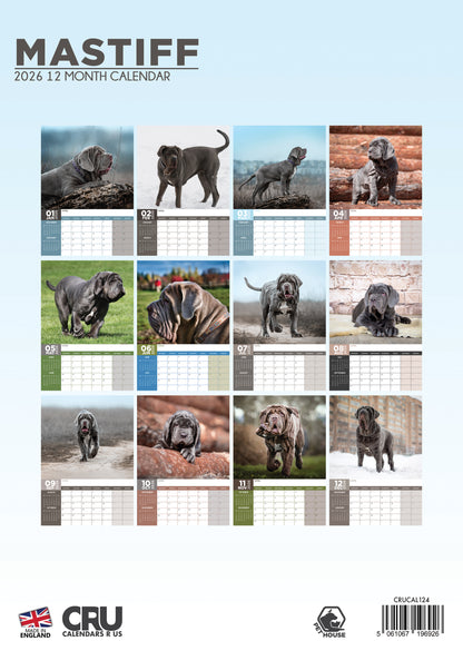 Mastiff - A3 Calendar 2026