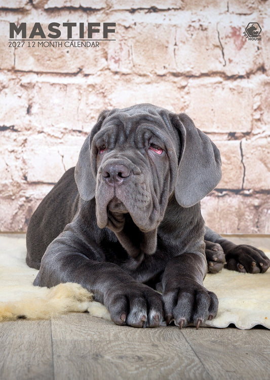 Mastiff - A3 Calendar 2027