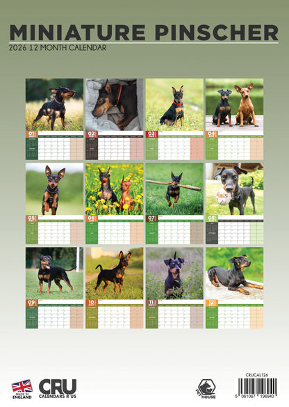 Miniature Pinscher - A3 Calendar 2026