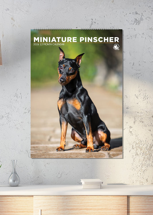 Miniature Pinscher - A3 Calendar 2027